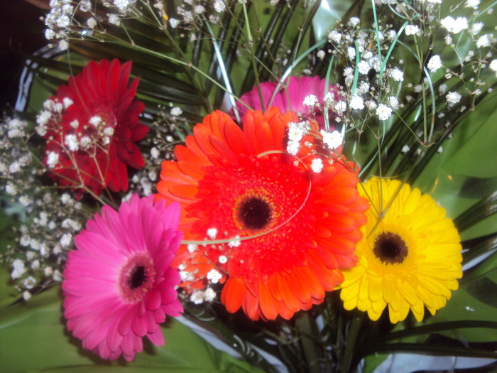 DSC04575 (700x525, 134Kb)