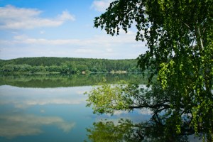 4592859_Zelenii_Kvadrat_zemelnie_Uchastkim (300x200, 43Kb)