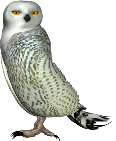 0_66245_447e8b04_orig.jpg (369x450, 174Kb)