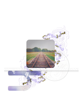 3705756_for_icons1ic (289x347, 83Kb)