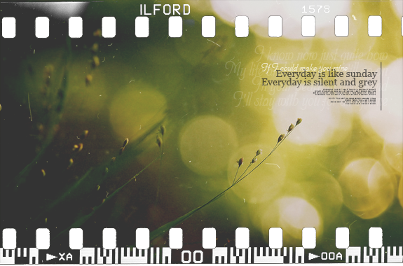 1336183870_02 (575x380, 269Kb)