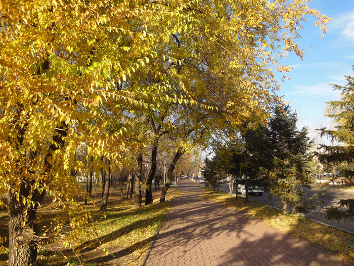 DSC09019-2 (700x525, 262Kb)