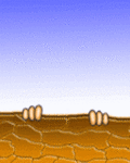 n9966[1] (120x150, 56Kb)