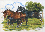  Horses with foal (400x286, 48Kb)