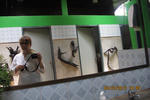  IMG_3999 (700x467, 352Kb)