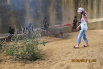  IMG_4080 (700x467, 443Kb)