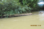  IMG_4102 (700x467, 406Kb)