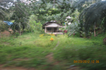  IMG_4116 (700x467, 408Kb)