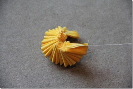 daffodil-15_thumb (452x303, 34Kb)