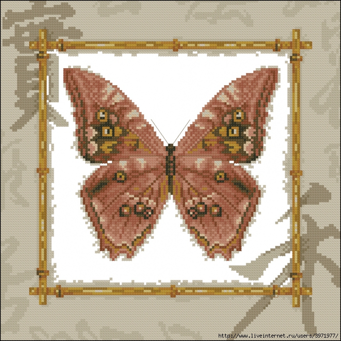 3971977_Butterflies_025 (700x700, 479Kb)