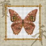     Butterflies 025 (700x700, 468Kb)