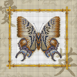     Butterflies 026 (700x700, 481Kb)