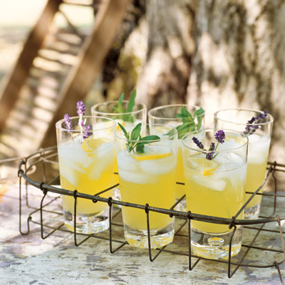 pineapple-cooler-drink-recipe (400x400, 44Kb)