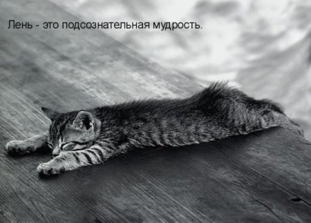 c2b463c16e9426bc4bb08b22ee576a2f_full (450x323, 30Kb)