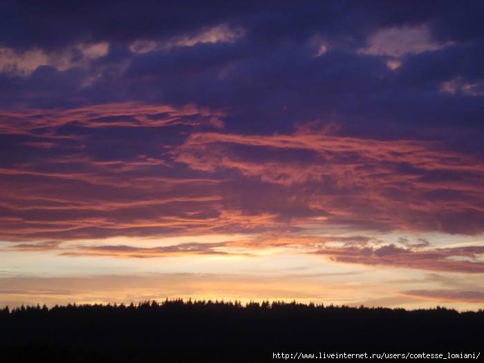 DSC02042 (700x525, 232Kb)