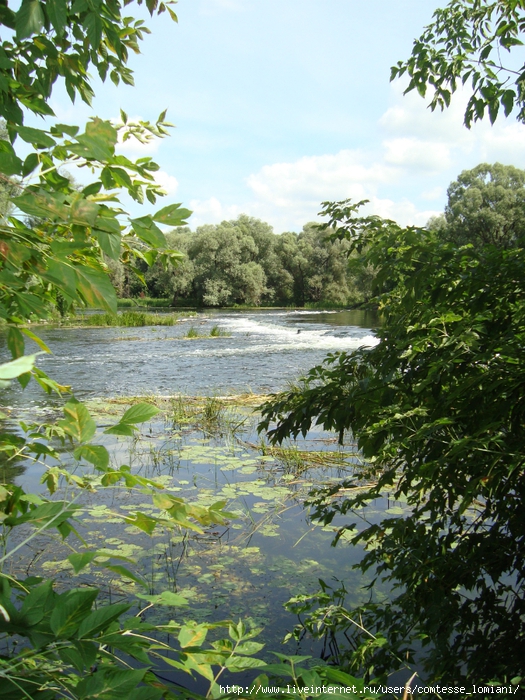 DSC02307 (525x700, 397Kb)