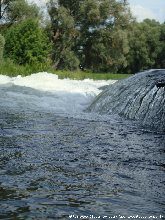 DSC02313 (525x700, 335Kb)