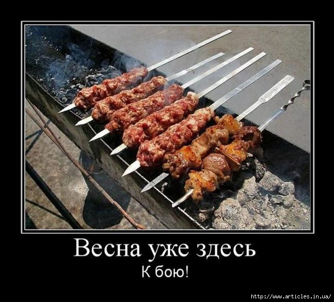 78_9b97c0b7e46580e95bc6ea2a7a73179d (650x589, 177Kb)