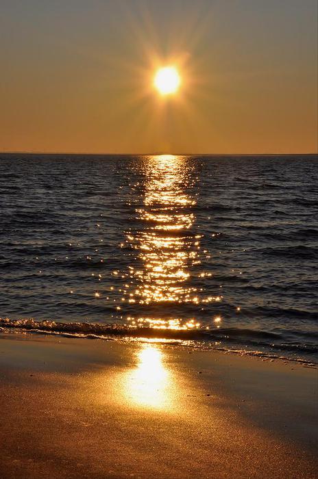 2017616_16026169 (464x700, 55Kb)