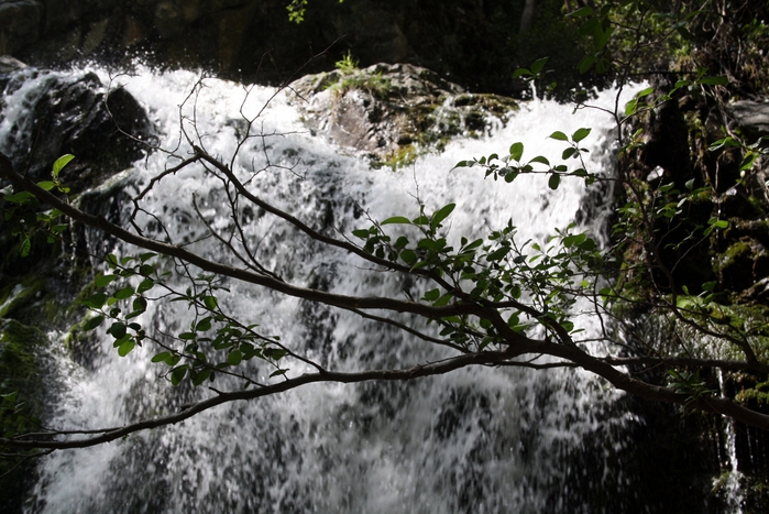 IMG_7492 (700x467, 298Kb)