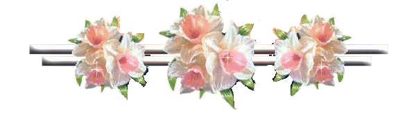 1334600294_razdelitel__narcissuy (600x178, 41Kb)