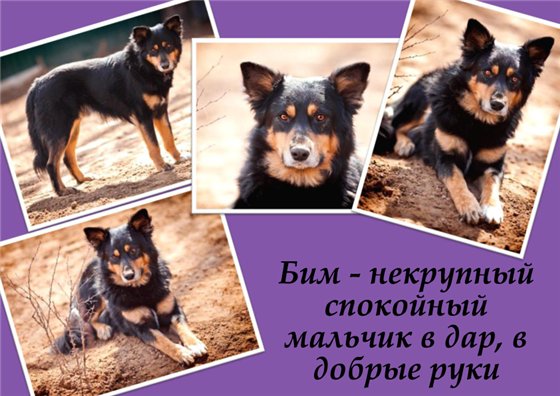  (560x396, 60Kb)
