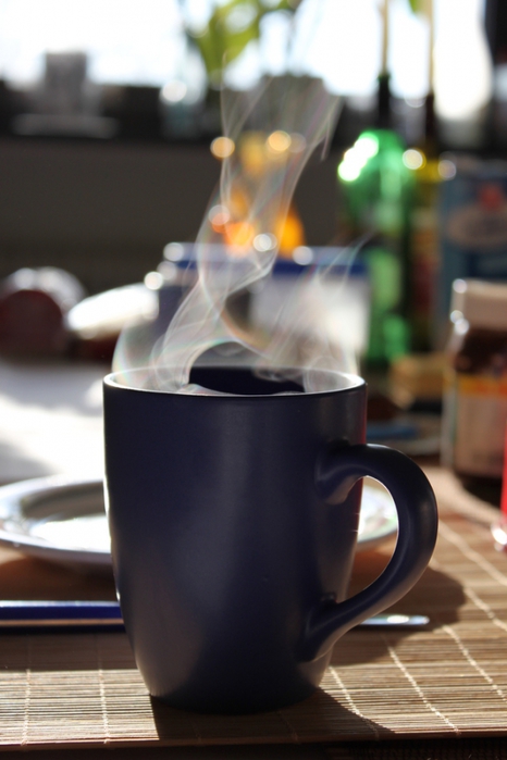 2017616_KaffeeamMorgenvertreibtKummerundSorgena21323114 (466x700, 178Kb)