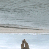 tumblr_lm0x4igGuj1qhjylao1_500 (198x198, 338Kb)