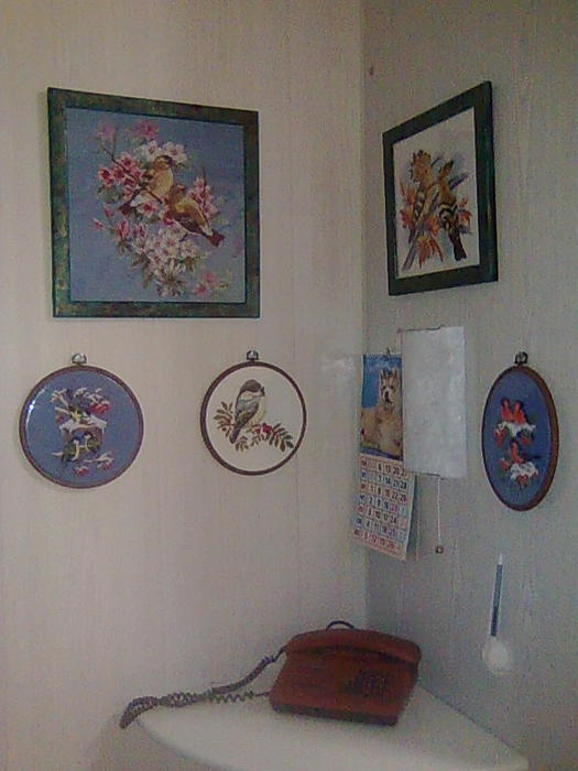 4826692_Foto0529 (525x700, 46Kb)