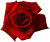 12 (50x42, 3Kb)
