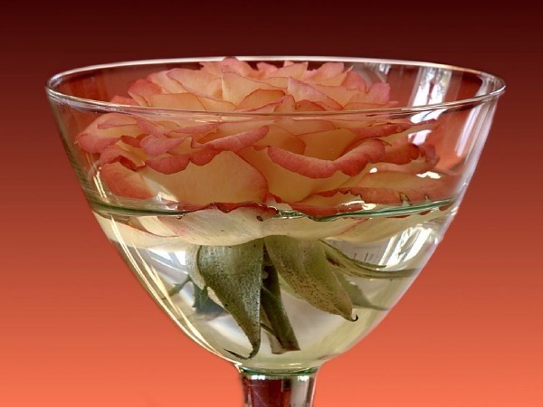 rose-in-wineglass-1024 (600x450, 49Kb)