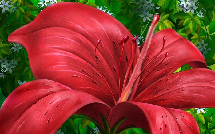 red-bow-flower-wallpapers_5972_1920x1200 (700x437, 260Kb)