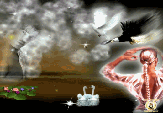    (520x360, 2254Kb)