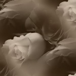 3815384_0_4f18c_88d0566e_XL__kopiya (150x150, 5Kb)