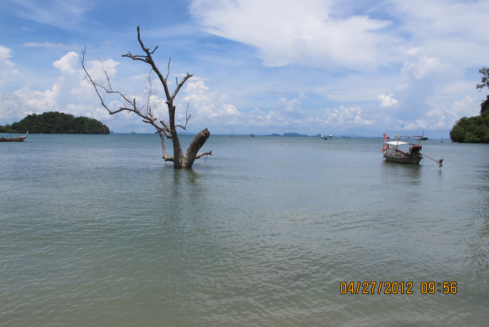 IMG_5259 (700x467, 354Kb)