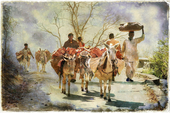 alexey_sukhopar_art-india_36 (700x466, 200Kb)