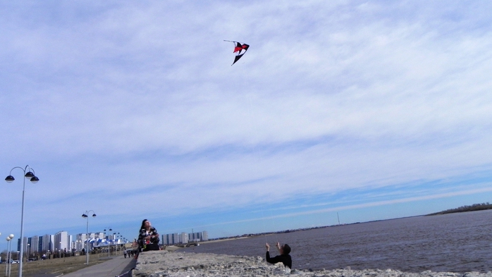DSCN6445 (700x393, 166Kb)