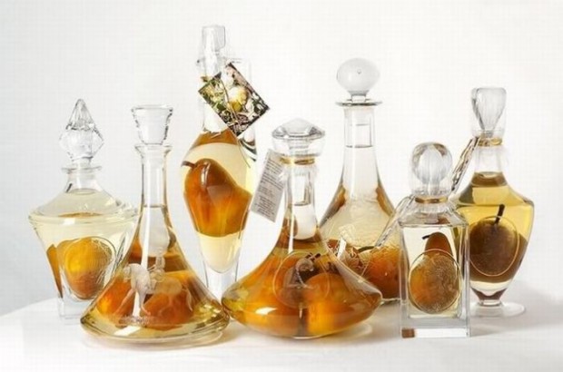 pears_in_the_bottle_01-620x410 (620x410, 49Kb)