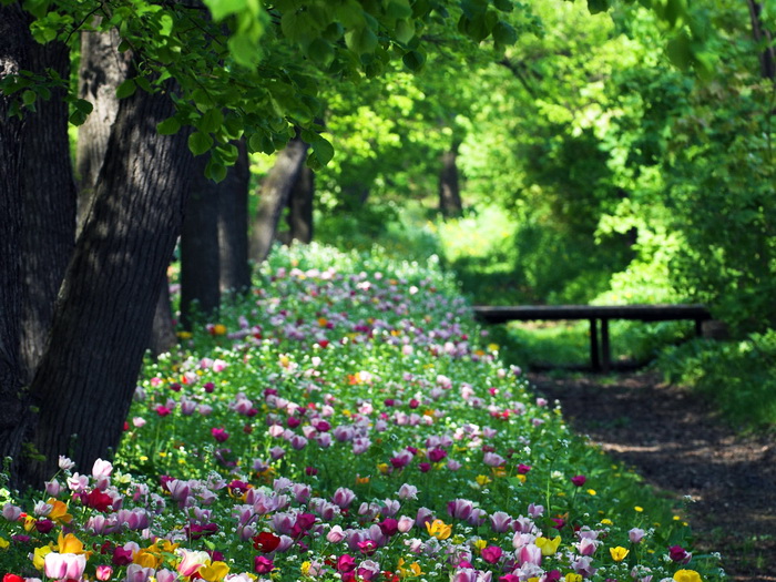 83298_1600_1200 (700x525, 213Kb)
