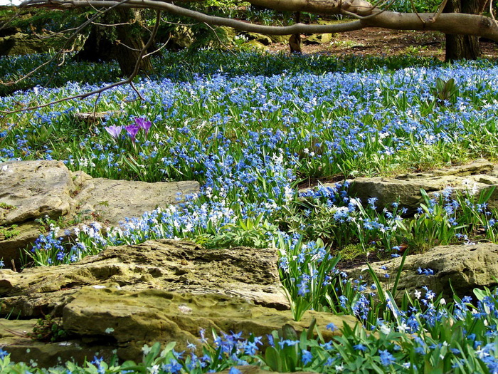 186696_1600_1200 (700x525, 288Kb)