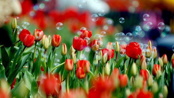195439_1366_768 (700x394, 106Kb)