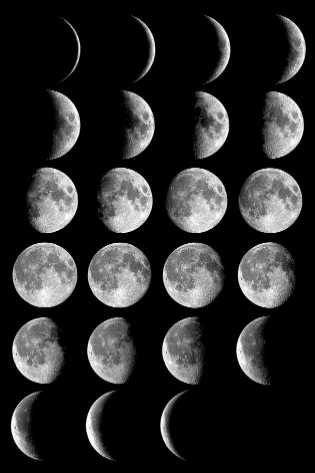 Moon_phases_small (315x473, 13Kb)