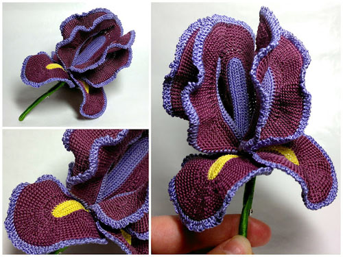 3862163_crocheted_silk_iris_1 (500x375, 93Kb)