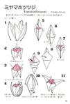  Momotani - Origami Alpine Flowers_45 (475x700, 50Kb)