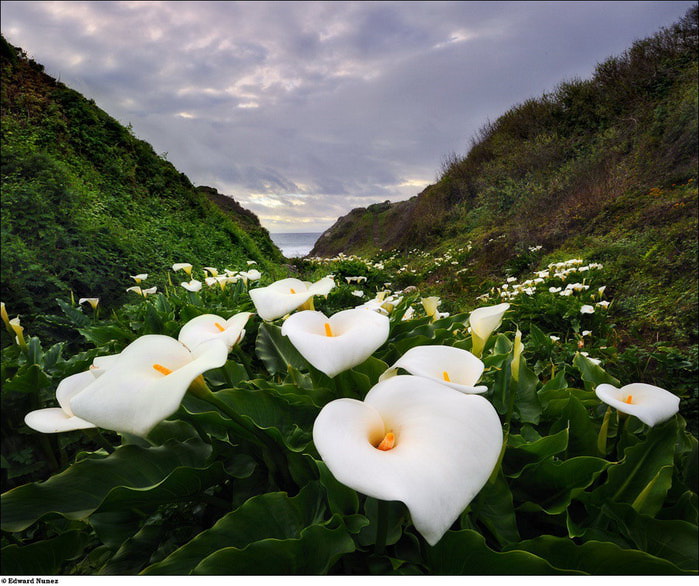 0_336f1_32f1b869_orig (700x586, 112Kb)