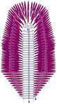 Превью iris02 (315x576, 119Kb)