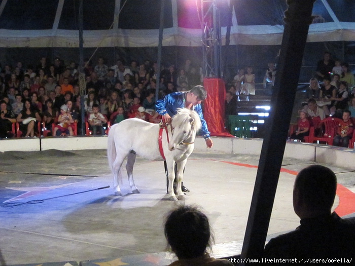 IMG_0650 (700x525, 216Kb)