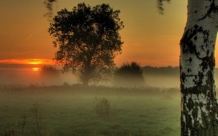 87193271_utro_u_berezy_1280x800 (699x437, 37Kb)
