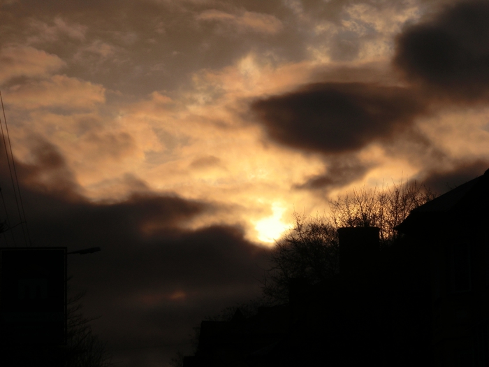 CIMG0250 (700x525, 166Kb)