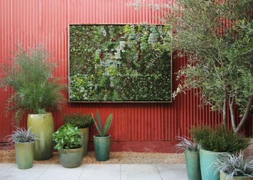 vertical-succulent-garden_2 (500x357, 157Kb)